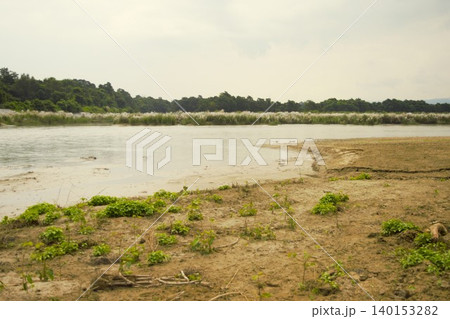 ネパール南部ラプティ川沿いのジャングル風景 ネパール南部ラプティ川沿いのジャングル風景 140153282