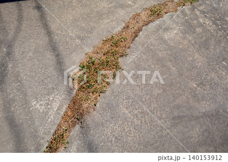 various various 140153912
