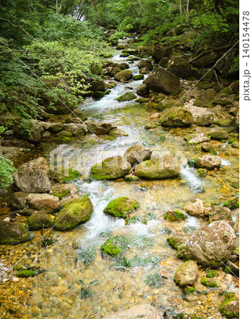 縦構図で美しく捉えた苗場・湯ノ沢川の清流 縦構図で美しく捉えた苗場・湯ノ沢川の清流 140154478