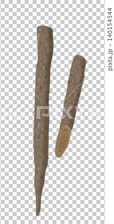 Burdock illustration Burdock illustration 140154544