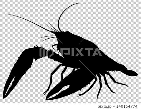 crayfish crayfish 140154774