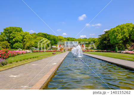 神戸市の須磨離宮公園にある庭園の満開のバラと噴水 神戸市の須磨離宮公園にある庭園の満開のバラと噴水 140155262