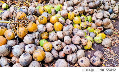 close-up view of a coconut 140155842