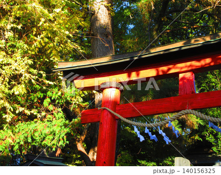 埼玉県川口市八幡木にある八幡神社の風景 140156325