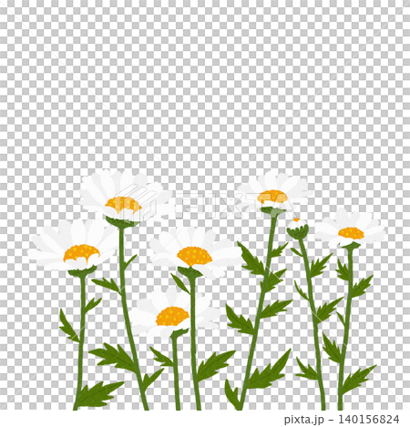 Hand-drawn flower illustration: North Pole Hand-drawn flower illustration: North Pole 140156824