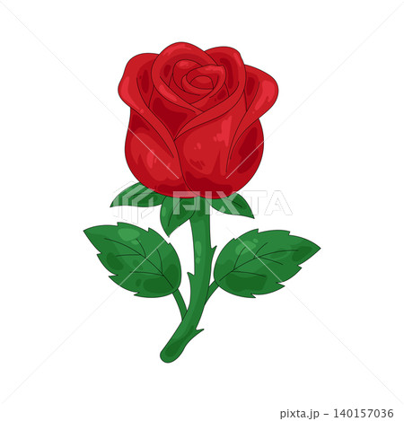 Illustration of red rose Illustration of red rose 140157036