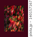 Red Tulip Garden in Motion 140157167
