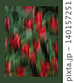 Red Flowers in Soft Motion 140157251