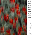 Red Flowers in Soft Motion 140157262