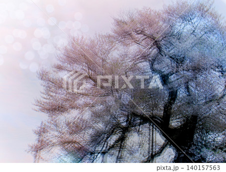 大きな桜の木と玉ボケのカメラ内多重露光写真が綺麗 大きな桜の木と玉ボケのカメラ内多重露光写真が綺麗 140157563