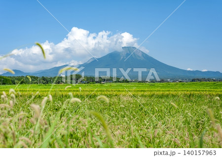 鳥取県伯耆町のエノコログサ茂る草地越しに望む雄大な夏の伯耆大山と田園風景（鳥取県伯耆町） 140157963