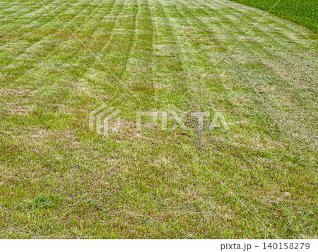 Flat lay art texture of a striped mown lawn with an uncut grass fragment. Flat lay art texture of a striped mown lawn with an uncut grass fragment. 140158279