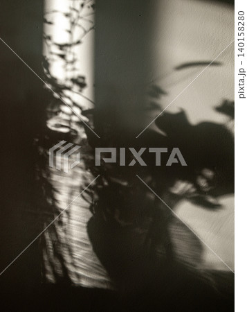 Intricate shadows and glass caustic effect on a floral bouquet still life. Intricate shadows and glass caustic effect on a floral bouquet still life. 140158280