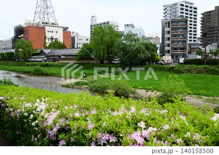 杜と水の都盛岡市 中津川（五月） 140158500