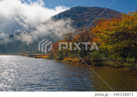 紅葉の赤城山・覚満淵の風景 紅葉の赤城山・覚満淵の風景 140158971