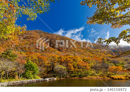 紅葉の赤城山・覚満淵の風景 紅葉の赤城山・覚満淵の風景 140158972