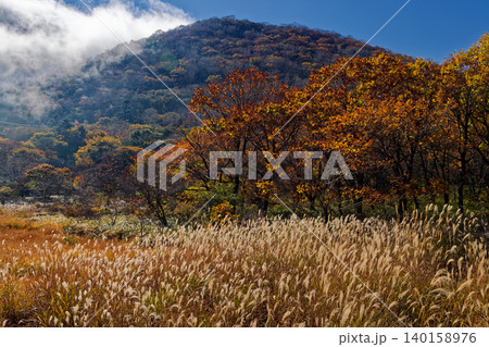 紅葉の赤城山・覚満淵の風景 紅葉の赤城山・覚満淵の風景 140158976