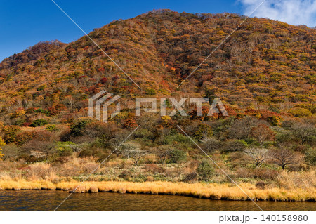 紅葉の赤城山・覚満淵の風景 紅葉の赤城山・覚満淵の風景 140158980