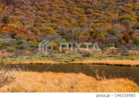 紅葉の赤城山・覚満淵の風景 140158985