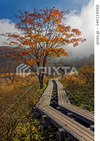 紅葉の赤城山・覚満淵の風景 140158988