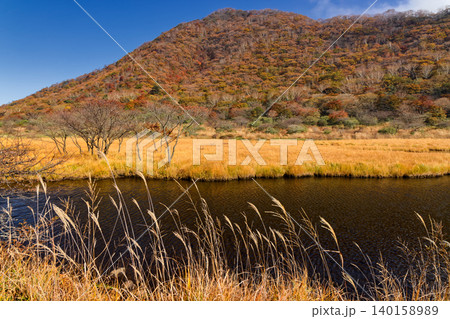 紅葉の赤城山・覚満淵の風景 紅葉の赤城山・覚満淵の風景 140158989