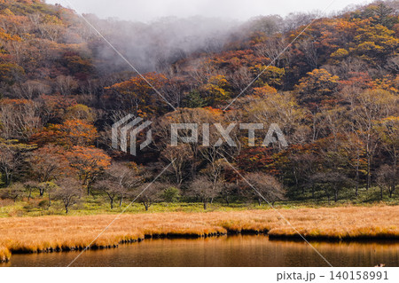 紅葉の赤城山・覚満淵の風景 紅葉の赤城山・覚満淵の風景 140158991