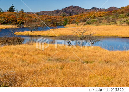 紅葉の赤城山・覚満淵の風景 紅葉の赤城山・覚満淵の風景 140158994