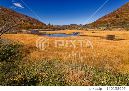 紅葉の赤城山・覚満淵の風景 紅葉の赤城山・覚満淵の風景 140158995