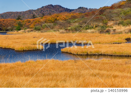 紅葉の赤城山・覚満淵の風景 紅葉の赤城山・覚満淵の風景 140158996