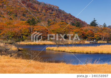 紅葉の赤城山・覚満淵の風景 140158997