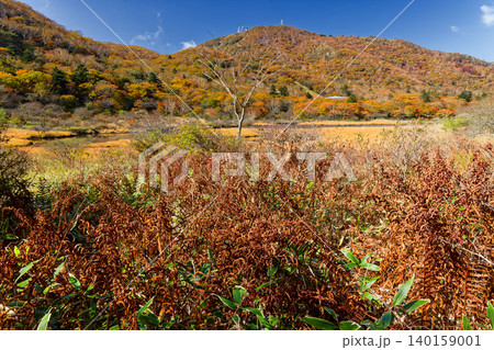 紅葉の赤城山・覚満淵の風景 140159001