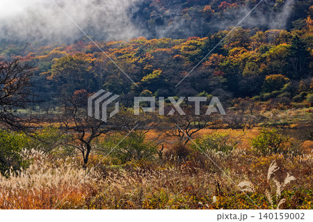 紅葉の赤城山・覚満淵の風景 140159002