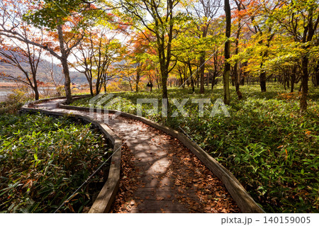 紅葉の赤城山・覚満淵の風景 140159005