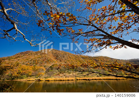 紅葉の赤城山・覚満淵の風景 140159006