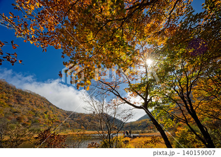 紅葉の赤城山・覚満淵の風景 紅葉の赤城山・覚満淵の風景 140159007