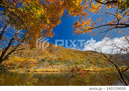 紅葉の赤城山・覚満淵の風景 140159008