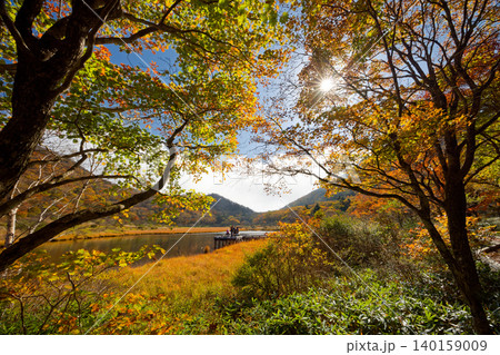 紅葉の赤城山・覚満淵の風景 紅葉の赤城山・覚満淵の風景 140159009