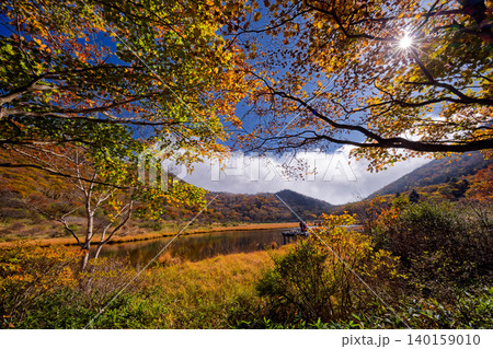 紅葉の赤城山・覚満淵の風景 140159010