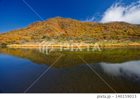 紅葉の赤城山・覚満淵の風景 140159013
