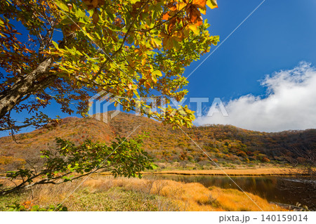 紅葉の赤城山・覚満淵の風景 紅葉の赤城山・覚満淵の風景 140159014
