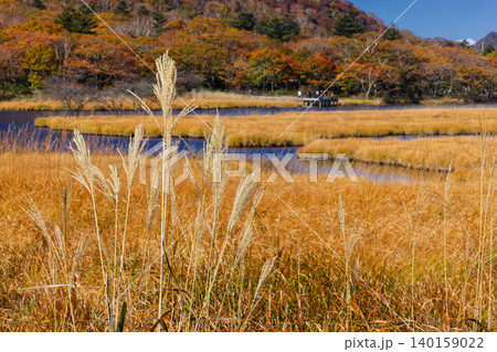 紅葉の赤城山・覚満淵の風景 140159022