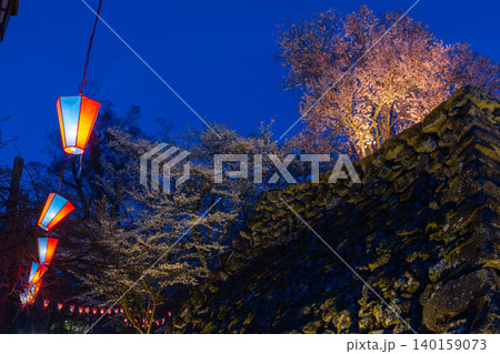 長野県小諸市丁　小諸城址懐古園本丸跡天守台の石垣とライトアップされた桜の夜景 140159073