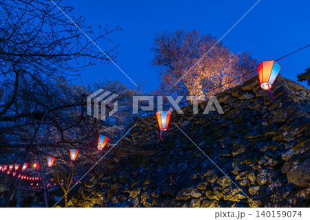 長野県小諸市丁 小諸城址懐古園本丸跡天守台の石垣とライトアップされた桜の夜景 長野県小諸市丁 小諸城址懐古園本丸跡天守台の石垣とライトアップされた桜の夜景 140159074