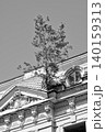Tree growing on ornate old rooftop in black and white 140159313