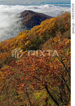 錦秋の赤城山・駒ヶ岳稜線から見る雲海 錦秋の赤城山・駒ヶ岳稜線から見る雲海 140159529