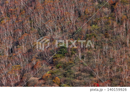 赤城山・駒ヶ岳から見る紅葉の山肌 赤城山・駒ヶ岳から見る紅葉の山肌 140159926