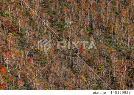 赤城山・駒ヶ岳から見る紅葉の山肌 140159928