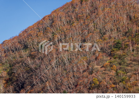 赤城山・駒ヶ岳から見る紅葉の山肌 赤城山・駒ヶ岳から見る紅葉の山肌 140159933