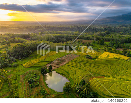 Beautiful morning view in Indonesia, panoramic landscape of rice fields with mountain ranges and clear sky Beautiful morning view in Indonesia, panoramic landscape of rice fields with mountain ranges and clear sky 140160292