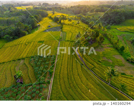 Beautiful morning view in Indonesia, panoramic landscape of rice fields with mountain ranges and clear sky Beautiful morning view in Indonesia, panoramic landscape of rice fields with mountain ranges and clear sky 140160294